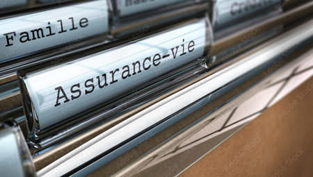L'Assurance-Vie : Un outil indispensable pour une gestion optimale de son patrimoine